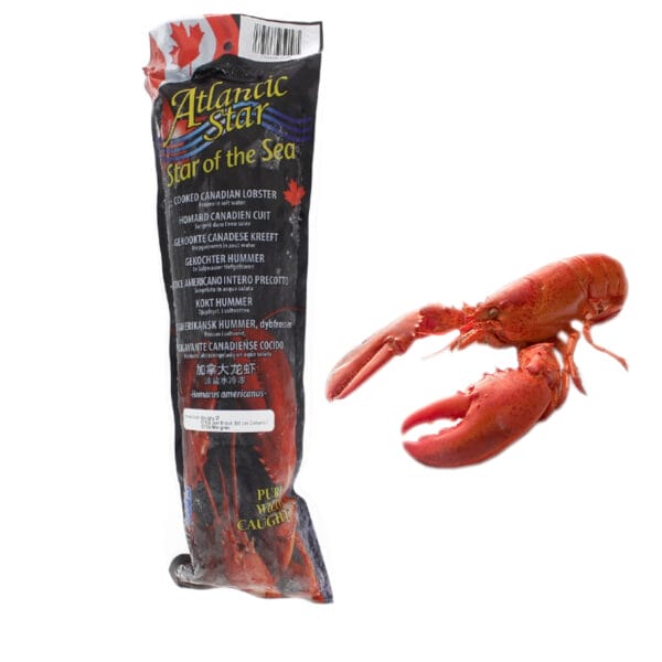 Homard entier cuit