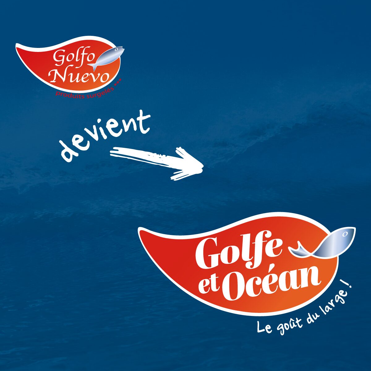 Golfo nuevo devient Golfe et Océan