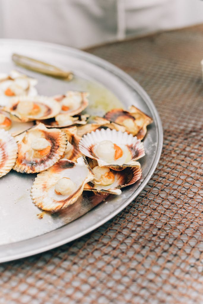 petites-mollusques